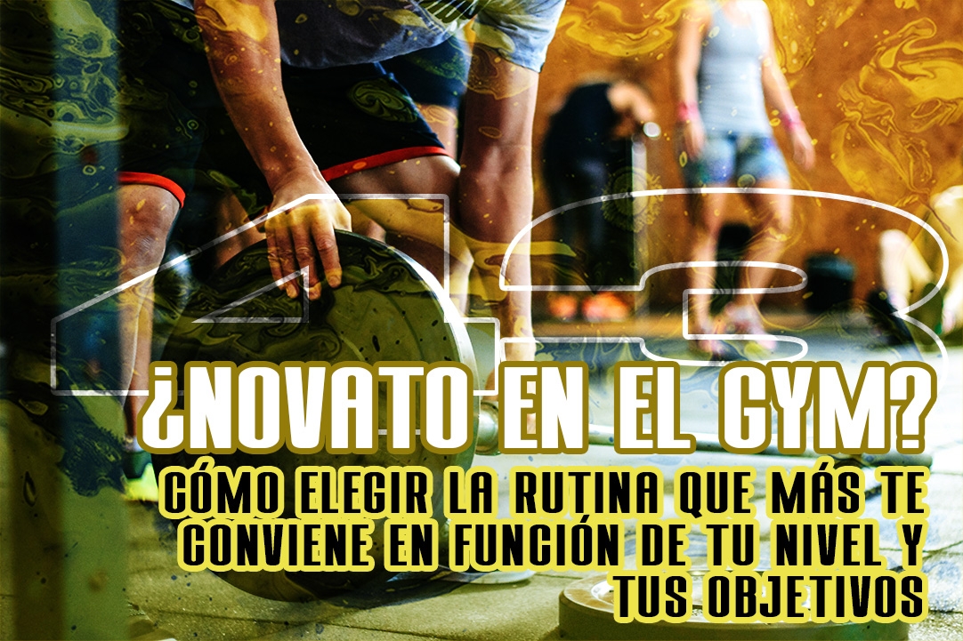 ¿Novato en el gimnasio?